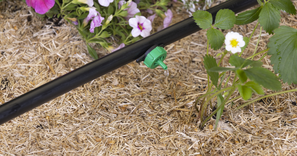Le système de goutte à goutte pour jardin : les indispensables