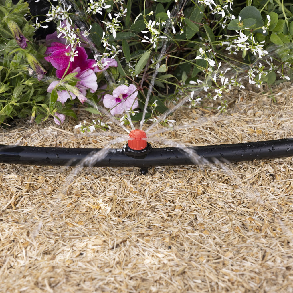 Goutteur réglable arrosage d'un potager