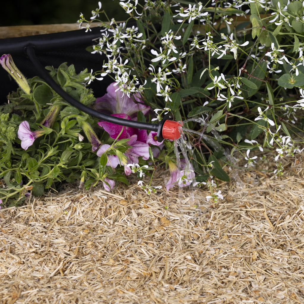 Goutteur réglable arrosage d'un potager