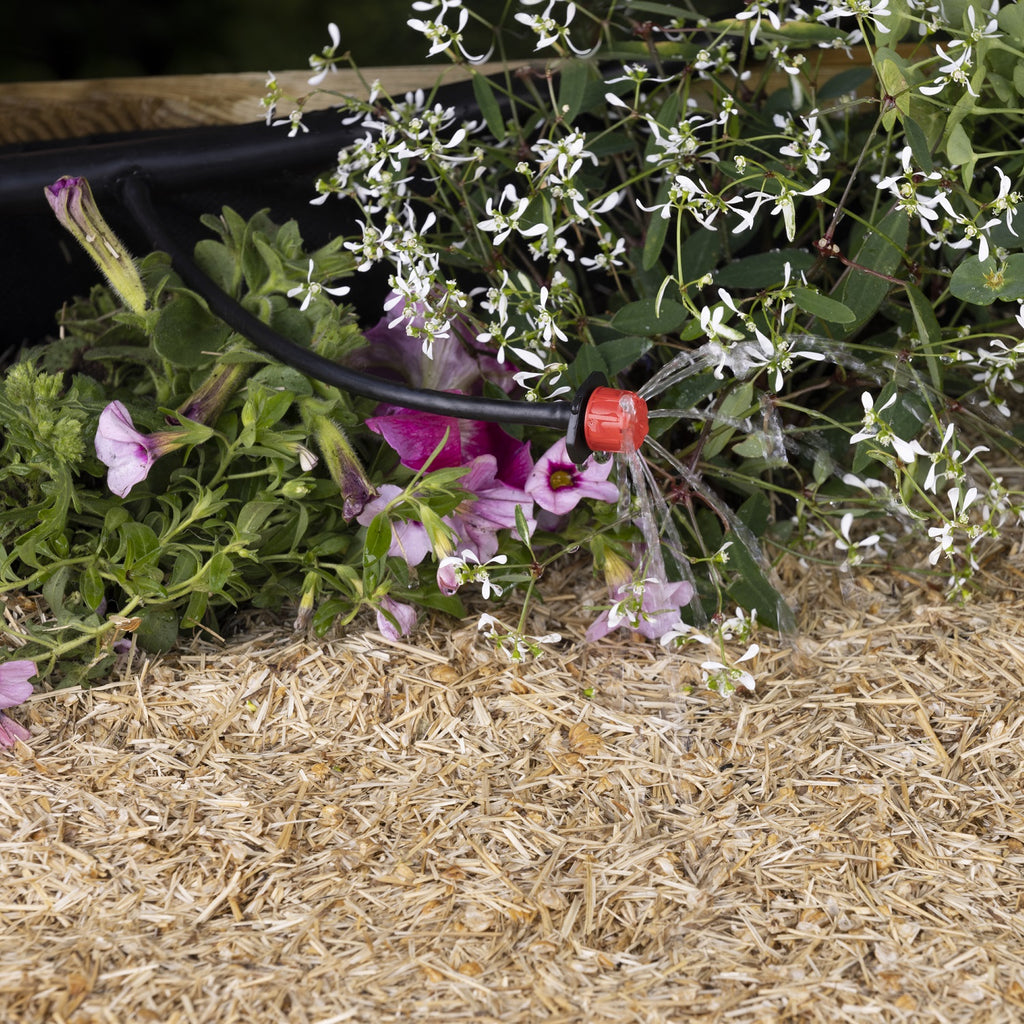 Goutteur réglable arrosage d'un potager