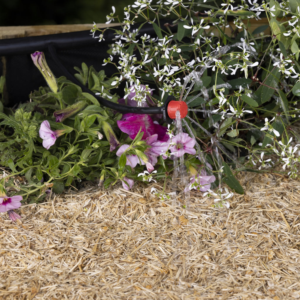 Goutteur réglable arrosage d'un potager