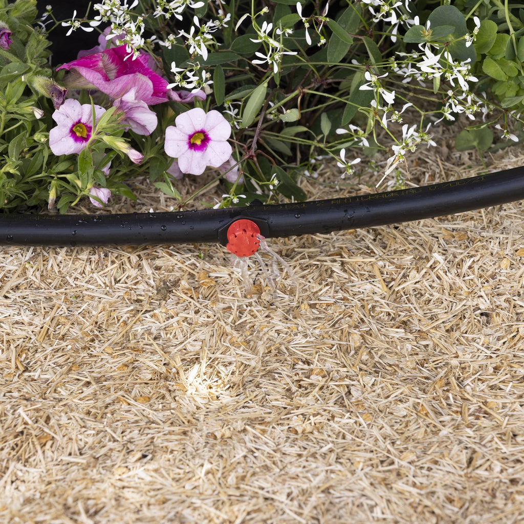 Goutteur réglable arrosage d'un potager