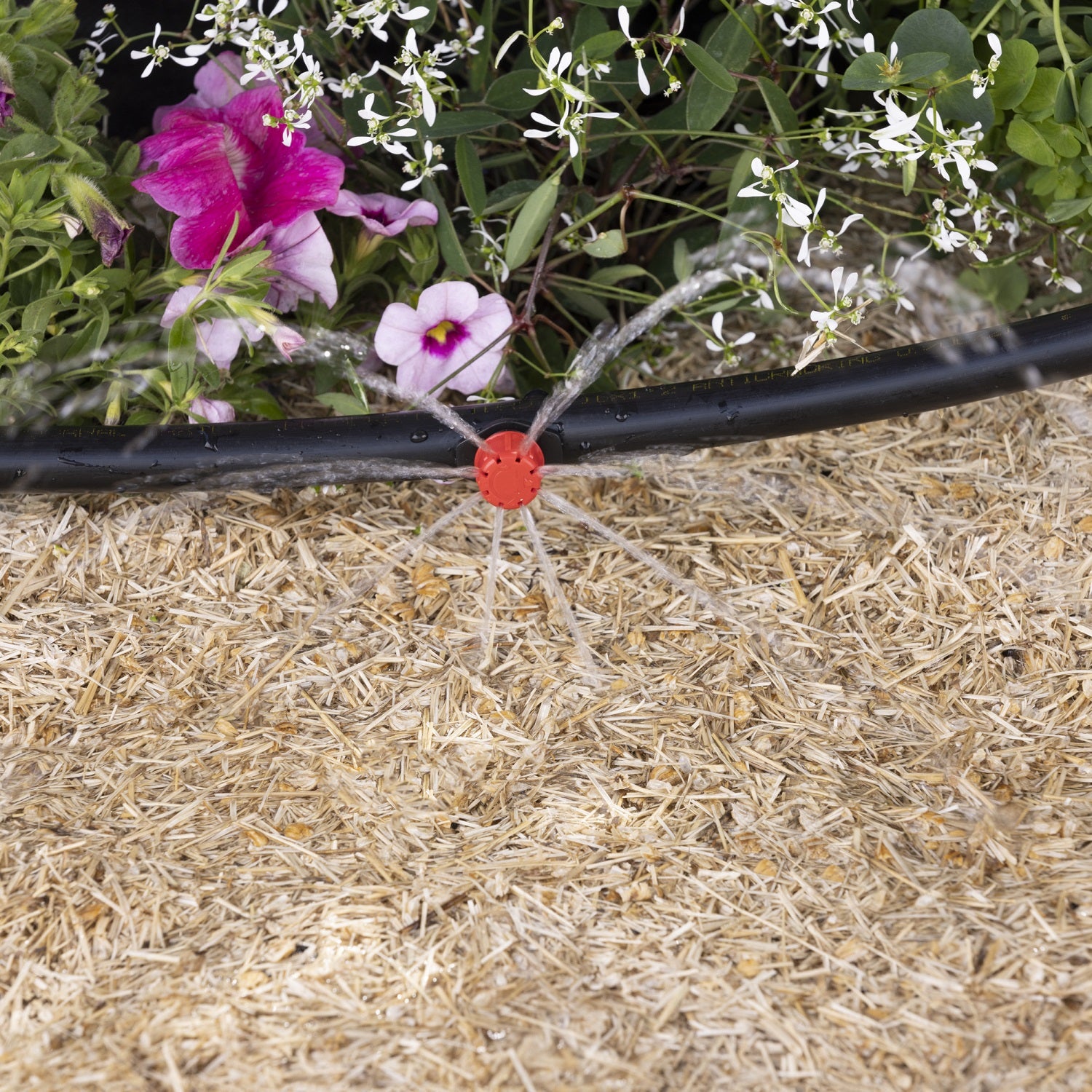 100 Goutteurs Arrosage Goutte à Goutte Réglables 0-70L/h - Kit Irrigation AROZ